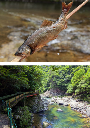 画像:串で焼いた魚